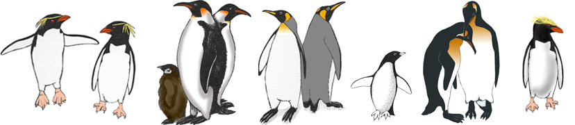 Antarctic Animals