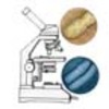 Activities, Experiments, and Investigations