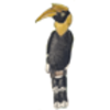 Hornbill (Great)