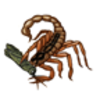 Scorpion Labeling Page