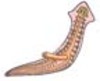 Planarian (Flatworm) Labeling Page