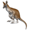 Wallaby (Agile)