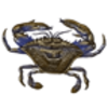 Crab (Blue)