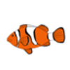 Clownfish Maze