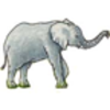 Elephant Maze